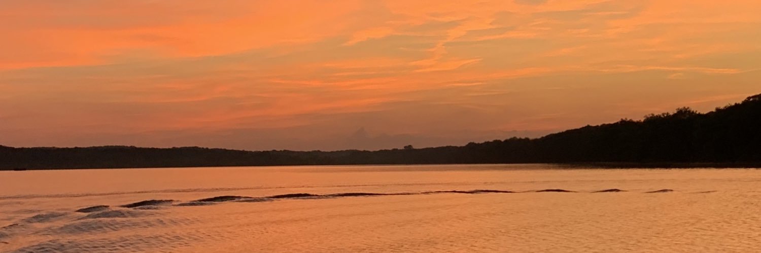 brileyhardinn_'s profile banner image