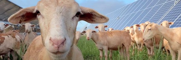 Delwynd1 Profile Banner