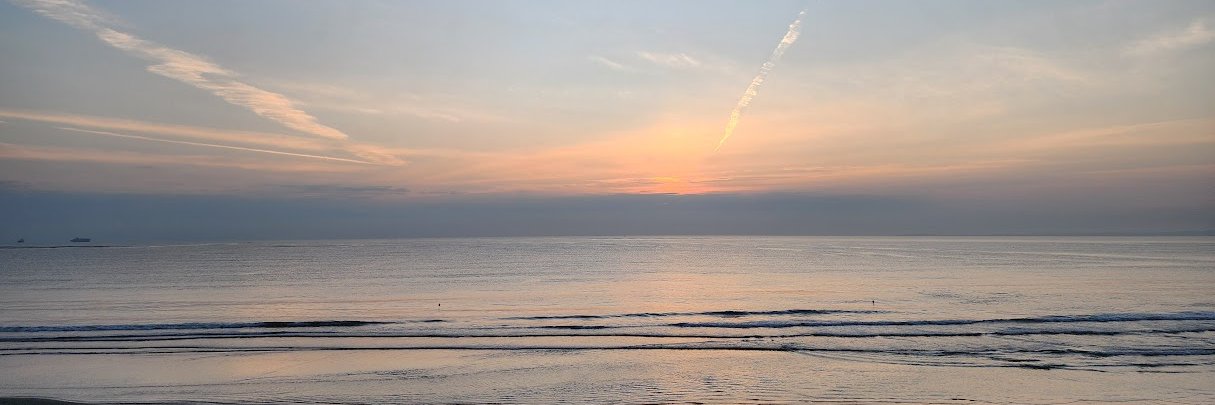 Jose M Remes Troche banner