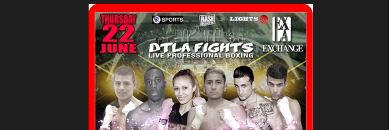 BashBoxing banner