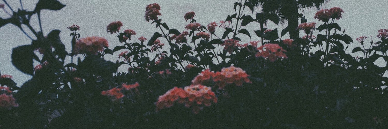 polarabstract's profile banner image