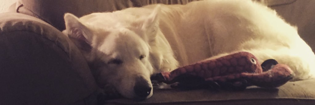 Corbin Forbes banner