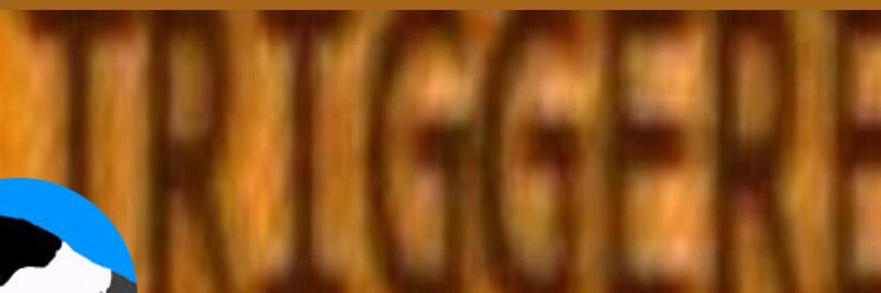 GrayJayFanPage's profile banner image