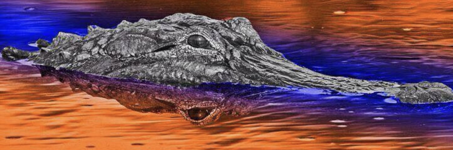 🦋HapEmerson.bsky.social banner