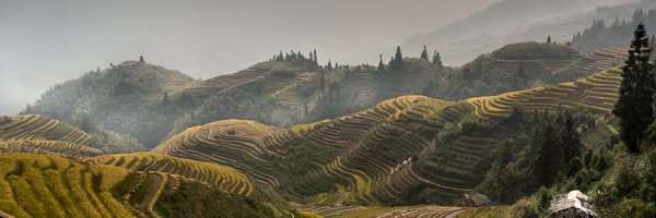 jaredplatt Profile Banner