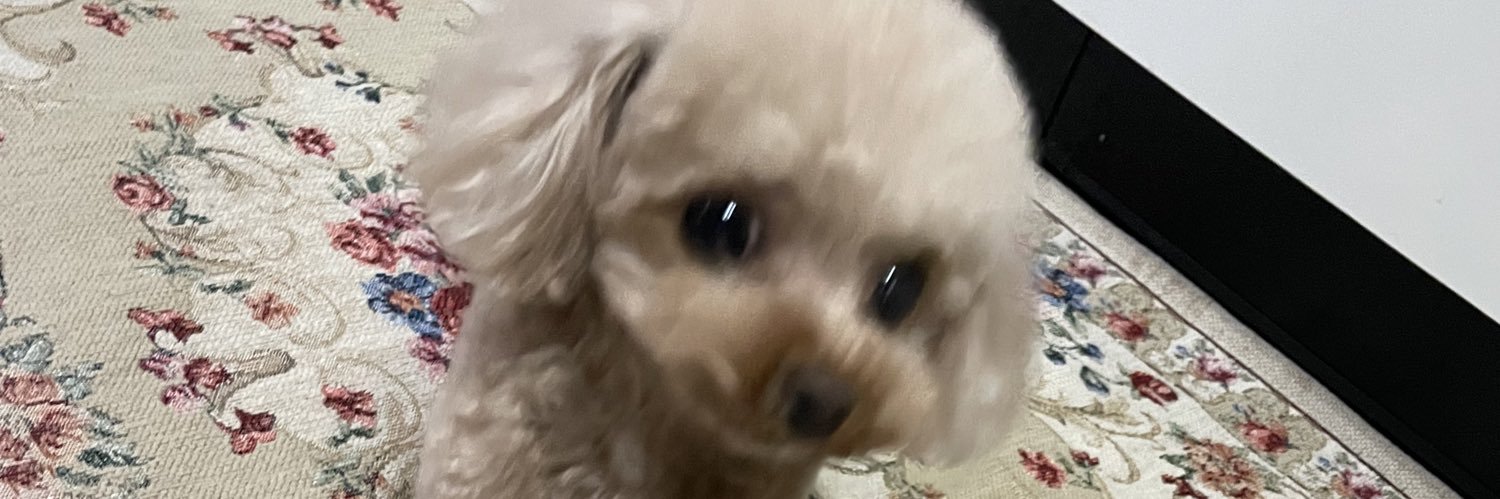 pinkerina1201's profile banner image