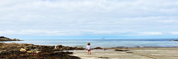 Swillo13 Profile Banner