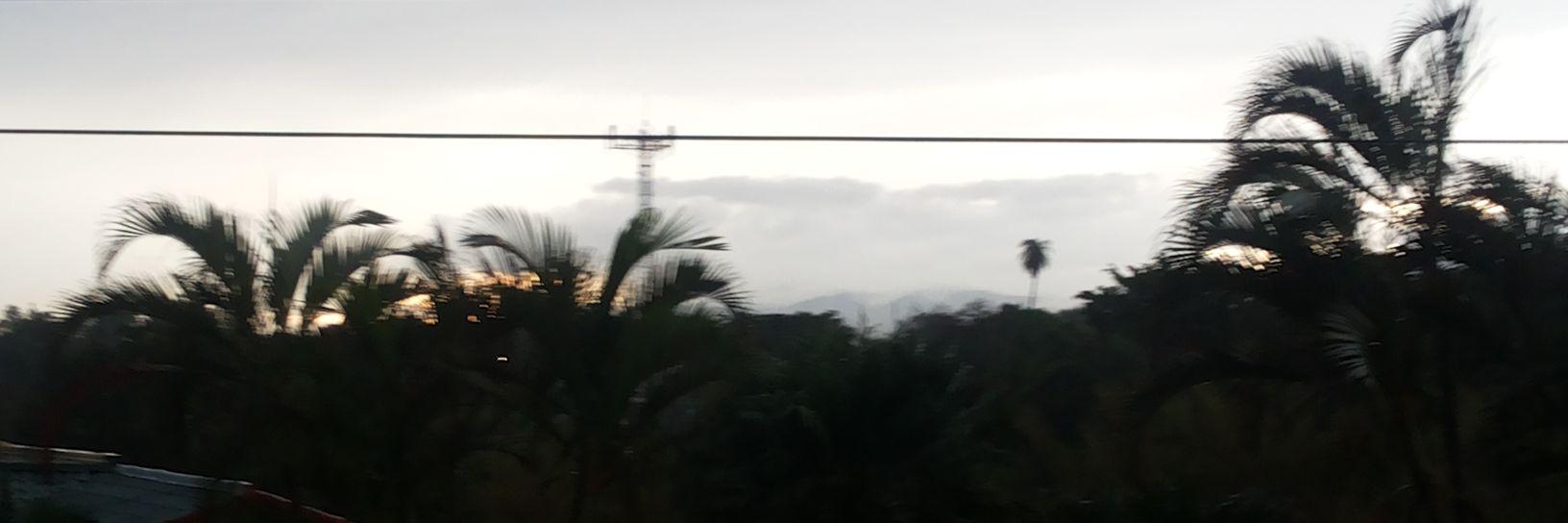Greemole's profile banner image