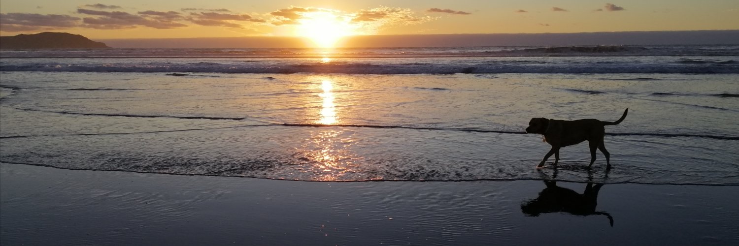 Te Mihinga 🔴⚪⚫ banner