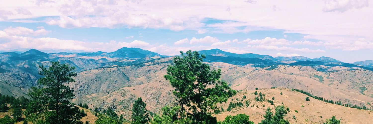 MaddyLibroia's profile banner image