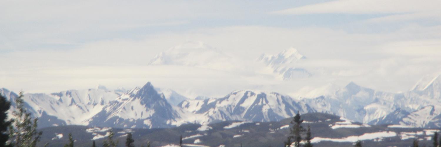 Sarah banner