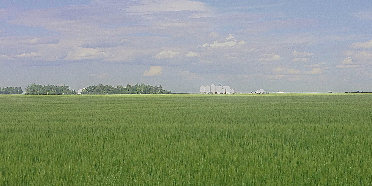 Farmer Don: man of leisure banner