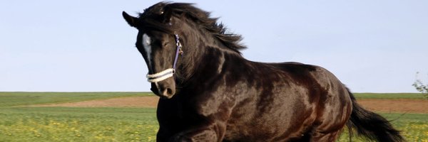 Rustagi_Samaj Profile Banner