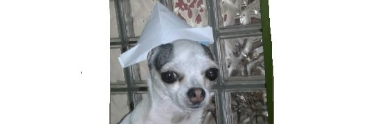 Javiernes133's profile banner image