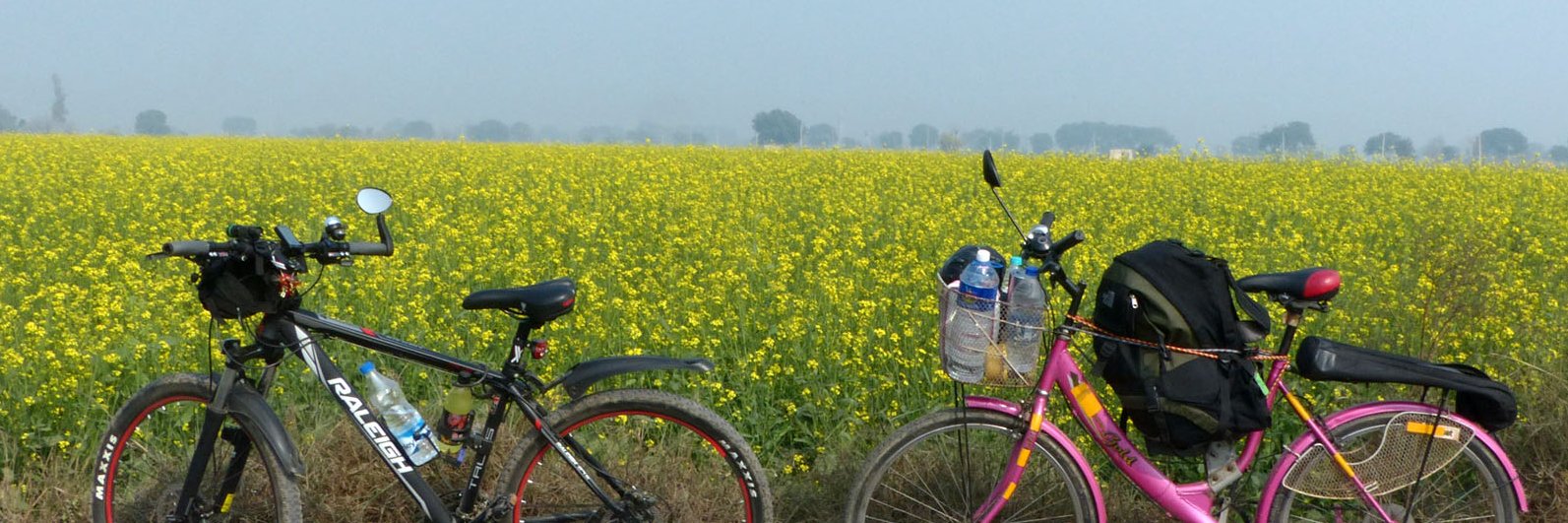 Cycle Diaries banner