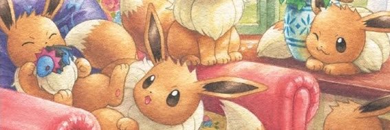 veyla banner