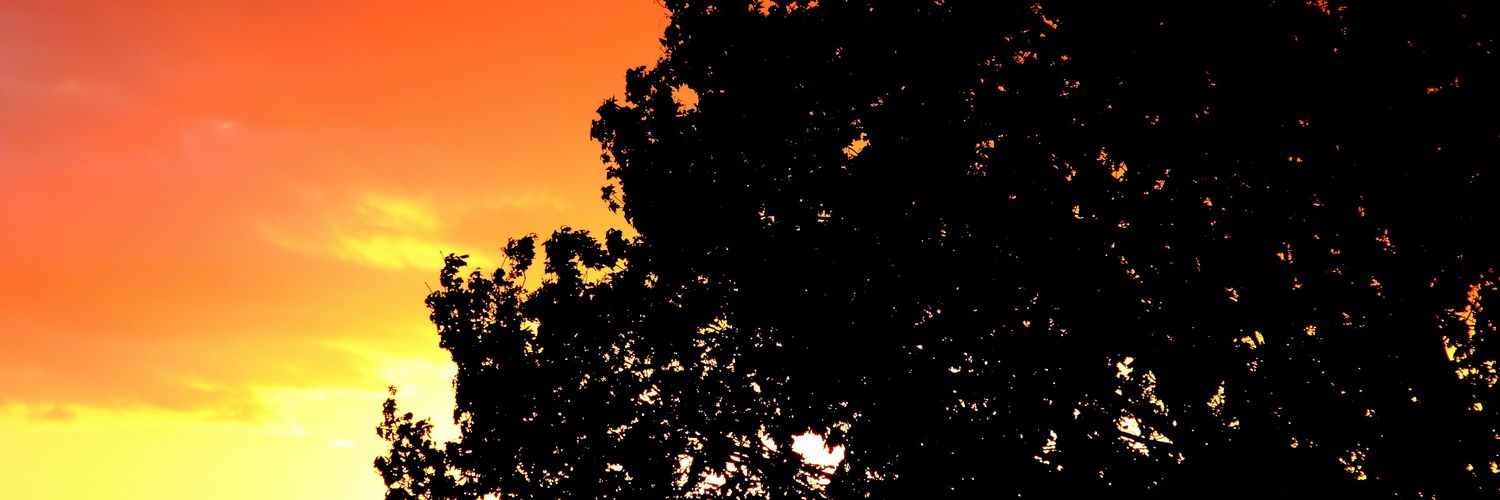 Daniiel_Duartee's profile banner image