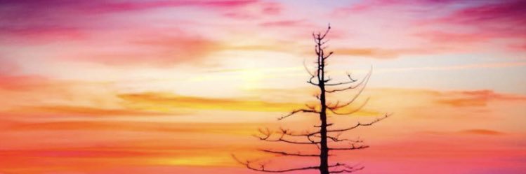 running4life31's profile banner image
