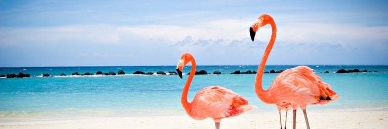 tuktapink's profile banner image