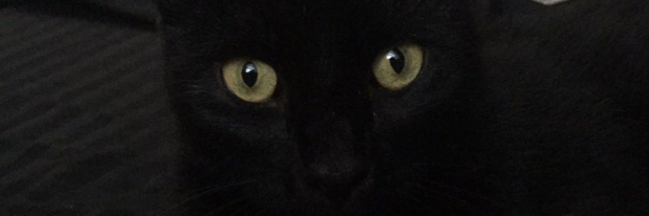 YuritsaPerez's profile banner image
