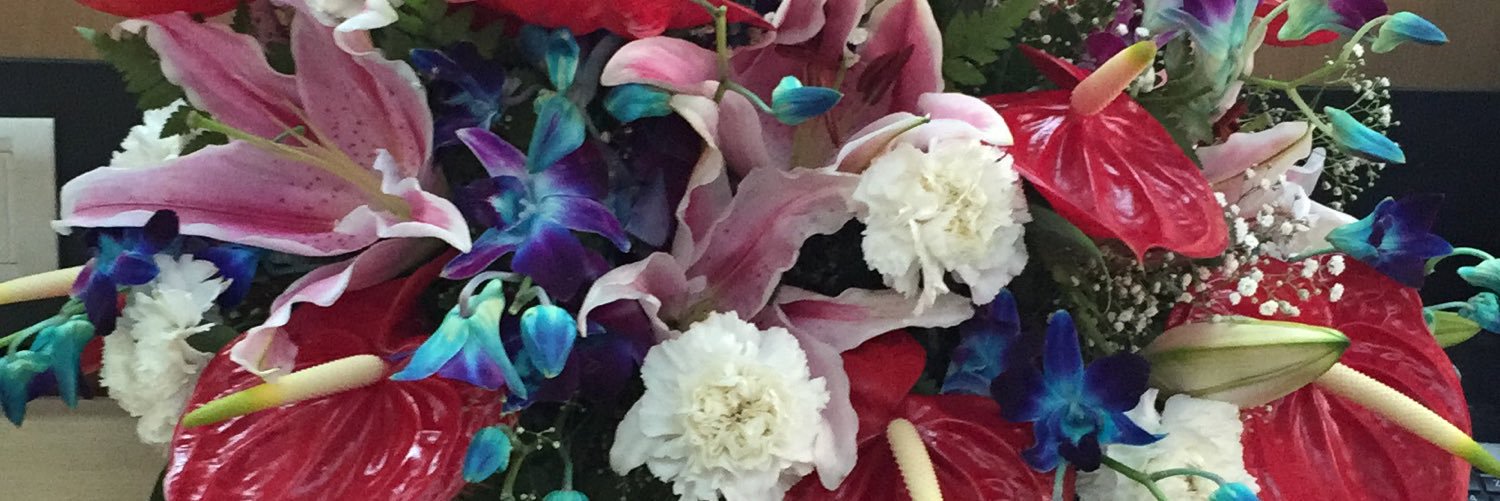 zynndyy's profile banner image