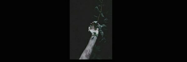 _misiax_'s profile banner image