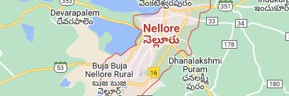 Nellore banner