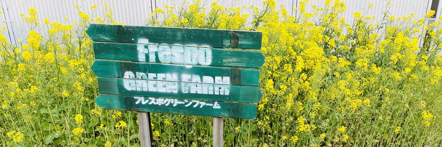 大前綾希子.Akiko Omae banner