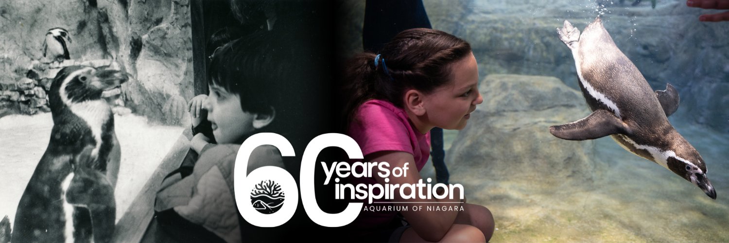 Aquarium of Niagara banner