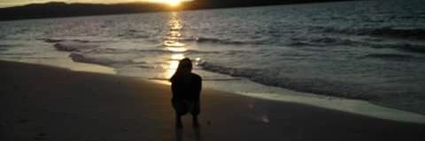 LuTaranto's profile banner image