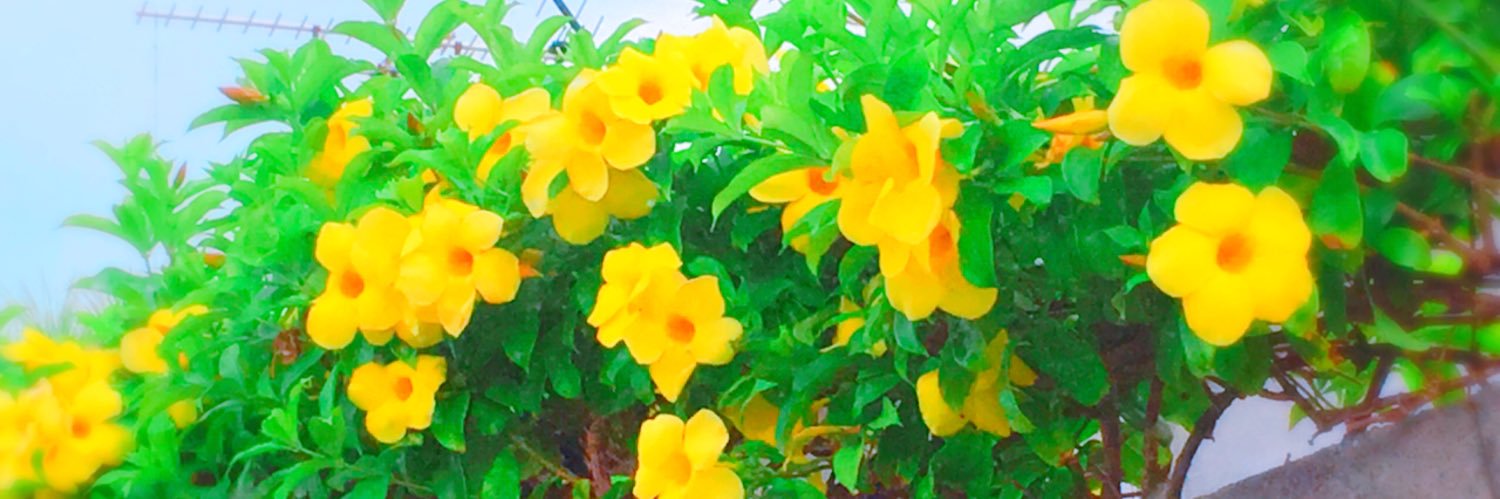 0410us's profile banner image