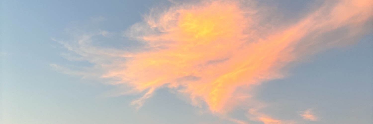 jayxcaroline's profile banner image