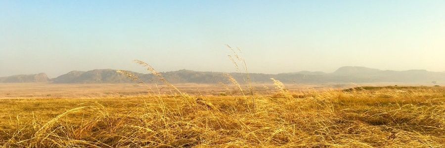Olumide Olorunfemi banner
