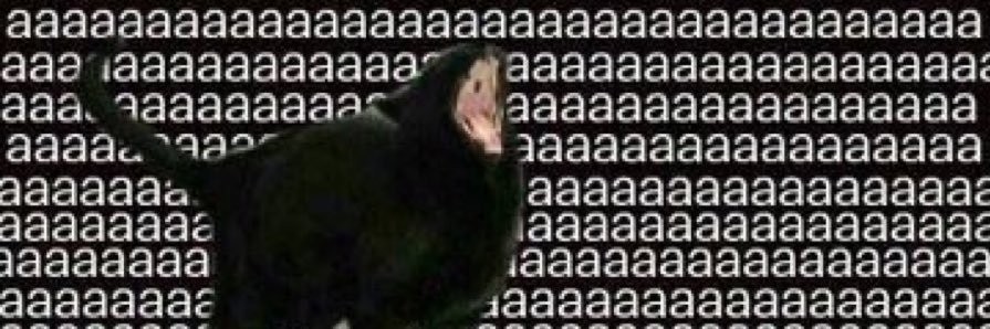 jpconzet's profile banner image