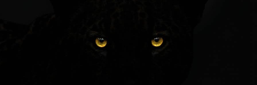 PeterPanter84's profile banner image
