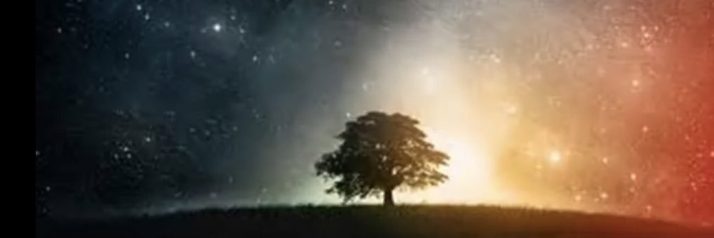 Julfenor's profile banner image