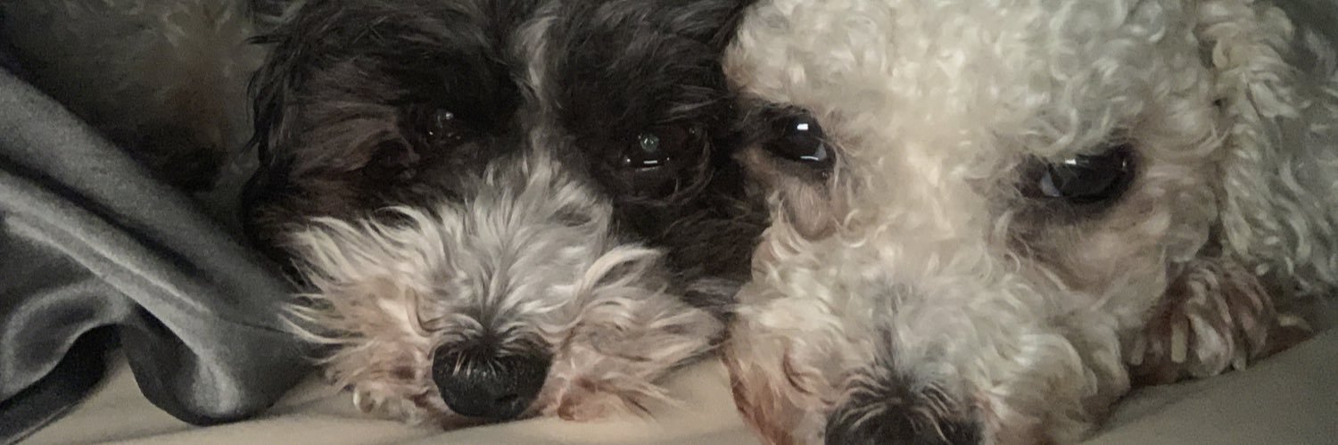kschmee109's profile banner image