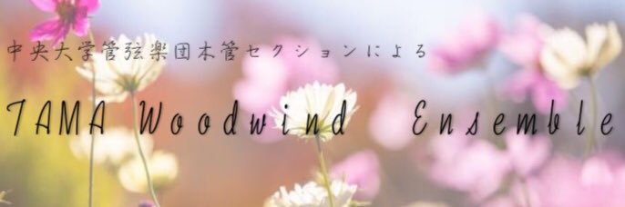 TAMAMOKUchuo's profile banner image
