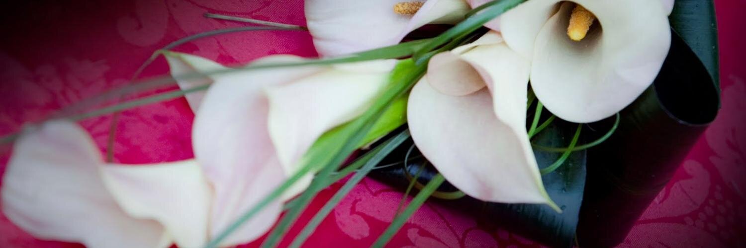 MariaLandinez's profile banner image