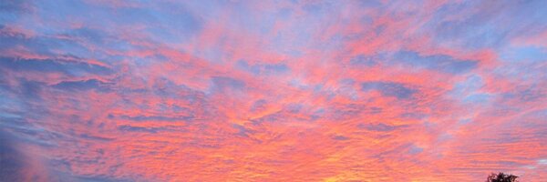 fxbenard Profile Banner