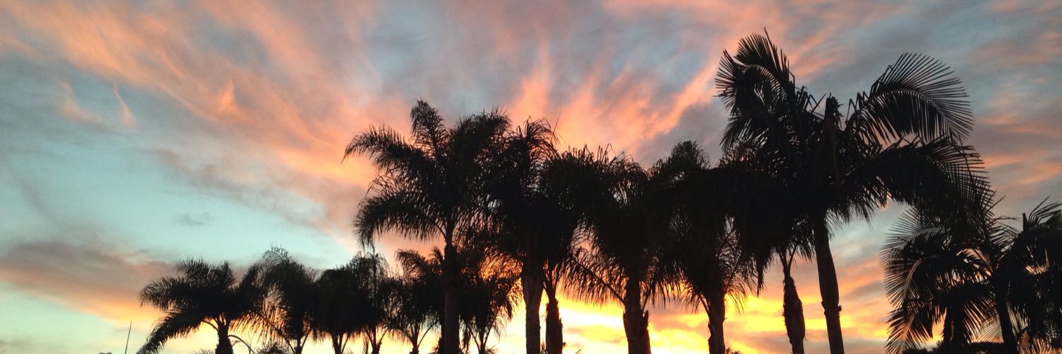 marsha spitzer banner