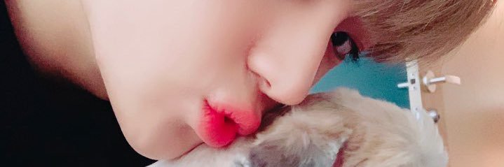 ♡ banner