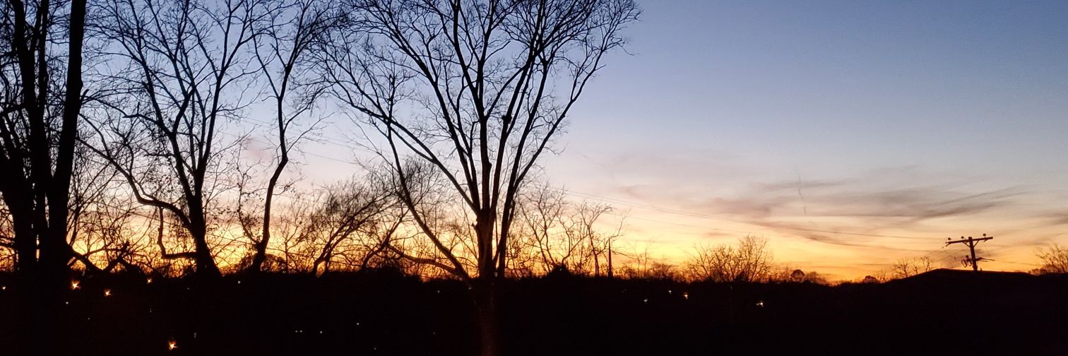 Lou_Vargo's profile banner image