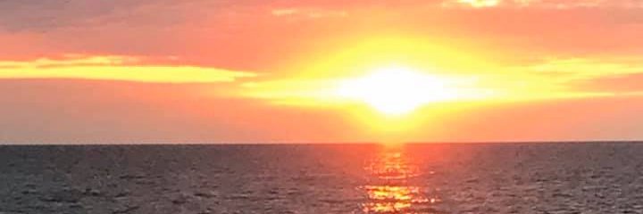 evey516's profile banner image