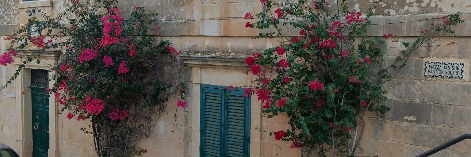 Aleksandra 🇵🇱🇪🇺 banner