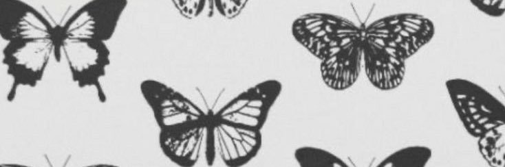 chloemoore02's profile banner image