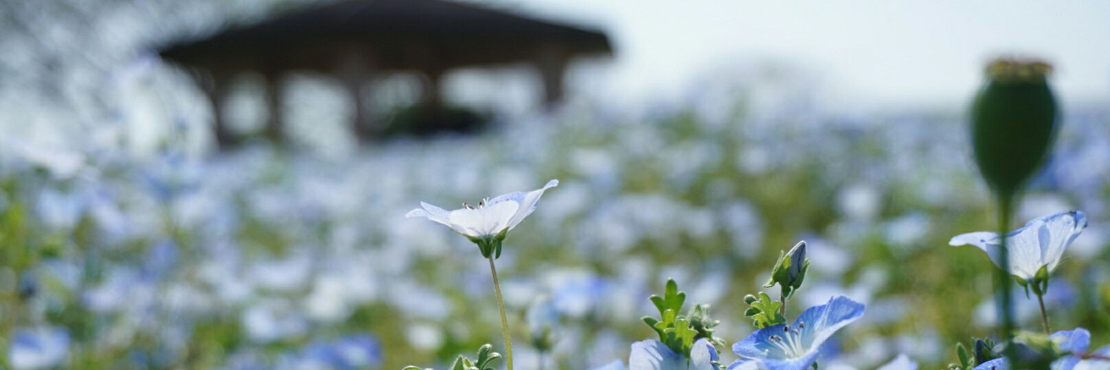 3942525's profile banner image