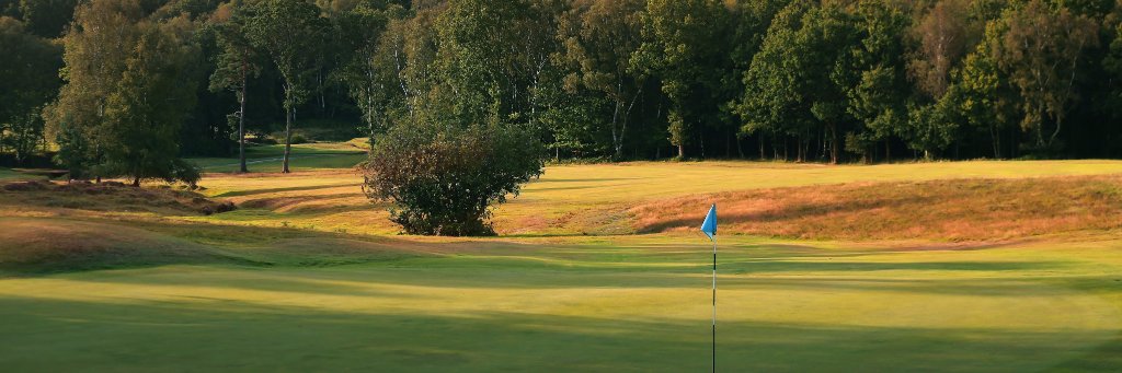 Royal Ashdown Forest Golf Club banner