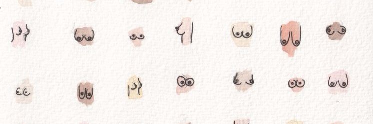 featriz barias banner