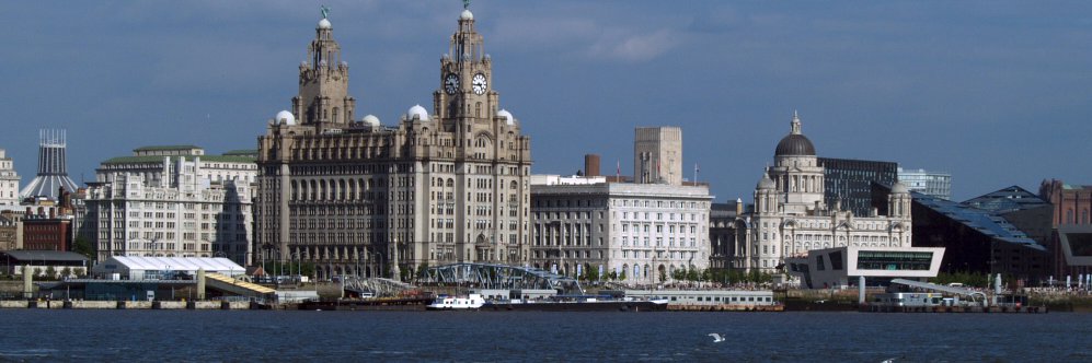 LdLtMerseyside banner